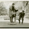 New York Zoological Society - Weighing Pandora the baby panda