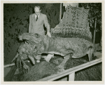 New York Zoological Society - Man next to alligator in exhibit