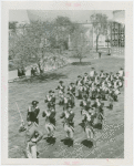 Parades - Band