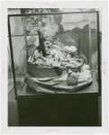Peru Participation - Building and Exhibits - Mummy in basket