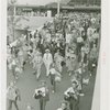 Poland Participation - Polish American String Band