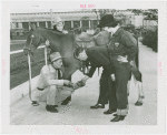 Pony Express Exhibit - Group with horse in front of City of New York Building