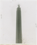 Pylons - With star on top