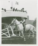 Queens County Horse Show - Girl riding horse