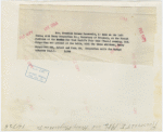 Roosevelt (Franklin Delano and family) - Eleanor Roosevelt and Henry Morganthau Jr. (Secretary of Treasury) at dinner