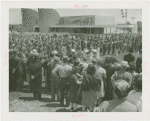 Special Days - Band and crowd at Yonkers Day