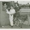 Special Weeks - Farm Week - Woman and child exchanging duck and calf for admission tickets