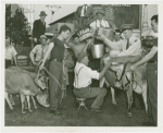 Special Weeks - Farm Week - Man exchanging bucket of milk for admission tickets