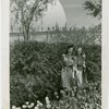 Special Weeks - Tulip Week - Women looking at tulips