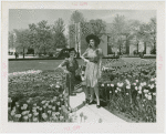 Special Weeks - Tulip Week - Women modeling clothes between tulip beds