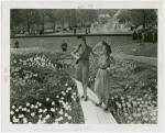 Special Weeks - Tulip Week - Women modeling clothes between tulip beds