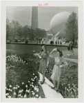Special Weeks - Tulip Week - Woman modeling clothes between tulip beds