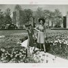 Special Weeks - Tulip Week - Women modeling clothes between tulip beds