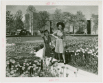 Special Weeks - Tulip Week - Women modeling clothes between tulip beds