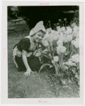 Special Weeks - Tulip Week - Girl in costume with tulips