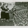 Special Weeks - Tulip Week - Women in costumes looking at tulips
