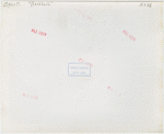 Sports - Banner - Group of men raising flag
