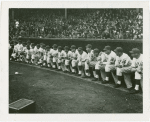 Sports - Baseball - New York Giants in dugout