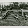 Sports - Football - Columbia football team playing against boys