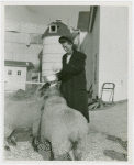 Sports - Ice Skating - Sandy Rice feeding sheep