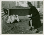 Sports - Ice Skating - Sandy Rice feeding ducks