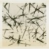 Standard Brands - Exhibits - Magnified vitamin B crystals