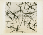 Standard Brands - Exhibits - Magnified vitamin B crystals