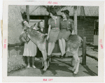 Tennessee Participation - Beauty queens sitting on burro
