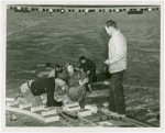 Theme Center - Democracity - Workers cleaning model of city