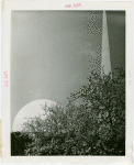 Theme Center - Trylon and Perisphere - View through trees