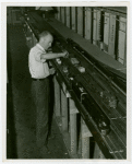Trains - Miniature - Man preparing miniature trains