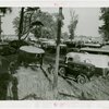 Transportation to Fair - Trailer park