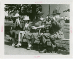 Typical American Family - Family eating hotdogs on bench