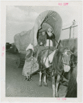 Utah Participation - Descendants of Brigham Young visiting Railroads on Parade