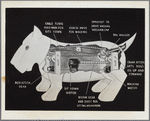 Westinghouse - Mechanical Man and Dog (Elektro and Sparko) - Diagram of Sparko