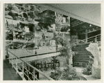 Yugoslavia Participation - Exhibit of photographs