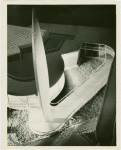Wilson & Co. Exhibit - Model