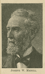 Joseph Medill, editor of the Chicago Tribune