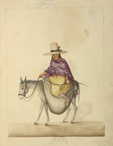 South American costumes