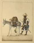 ("Aguador") Man driving a donkey carrying water casks
