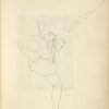 Man in hat, tunic and tights