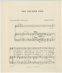 Golden rod