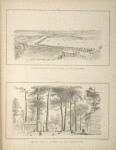 No. XXV. Swamp plantation on the banks of the Alatamaha; No. XXVI. Embryo town of Columbus, on the Chatahootchie.