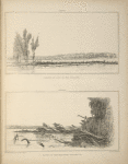 No. XXXVII. Island of logs on the Missouri; No. XXXVIII. Banks of the Missouri falling in