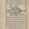 Large Mediterranean spurge (Euphorbia characias), al-yattû' al-dhakar ("the male")