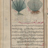 Bog Rush (Juncus so.), skhûnûs âhamiyya [!n.p.]. Two varieties are shown