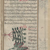 Water mint (Mentha aquatica), îdhuwâwusmûn. Three varieties are shown [center]; Spearmint (Mentha spicata), qâlâminthî [bottom]