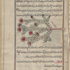 Savory (Satureia thymbra), labeled al-fawtanaj al-barrî; serves to illustrate qâlâminthî