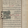 Candian savory, goat's origanum (Satureia thymbra), saghtar [!]