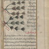 Two varieties of fawtanaj are shown